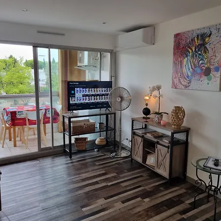 Superbe T2 Confort 3 Etoiles, Entierement Renove Avec Piscine, Parking, Clim, Wifi, Netflix