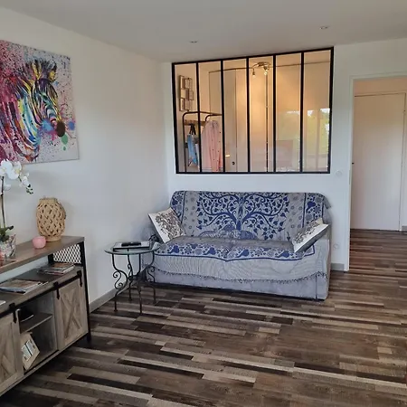 Superbe T2 Confort 3 Etoiles, Entierement Renove Avec Piscine, Parking, Clim, Wifi, Netflix 公寓