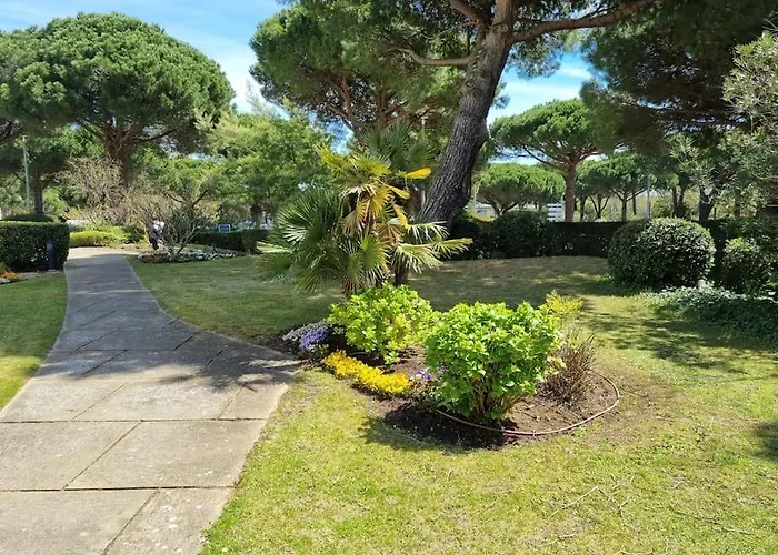 Apartman Superbe T2 Confort 3 Etoiles, Entierement Renove Avec Piscine, Parking, Clim, Wifi, Netflix