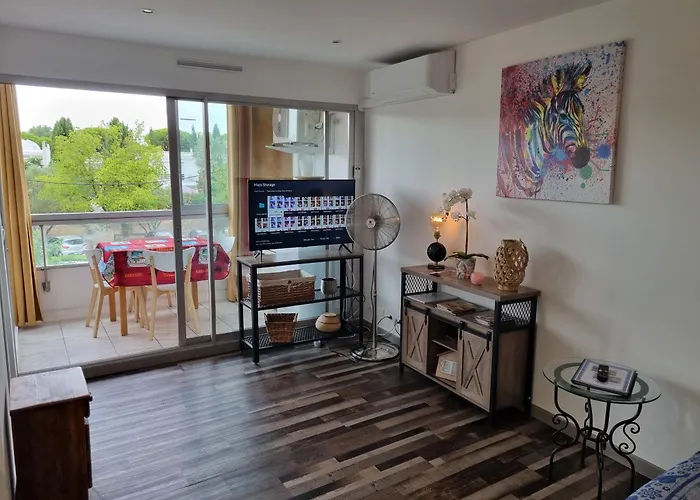 Superbe T2 Confort 3 Etoiles, Entierement Renove Avec Piscine, Parking, Clim, Wifi, Netflix