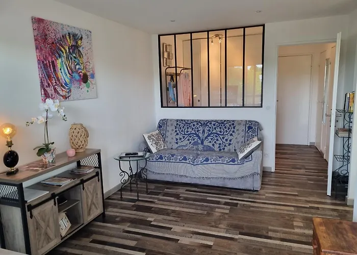 Superbe T2 Confort 3 Etoiles, Entierement Renove Avec Piscine, Parking, Clim, Wifi, Netflix Apartman